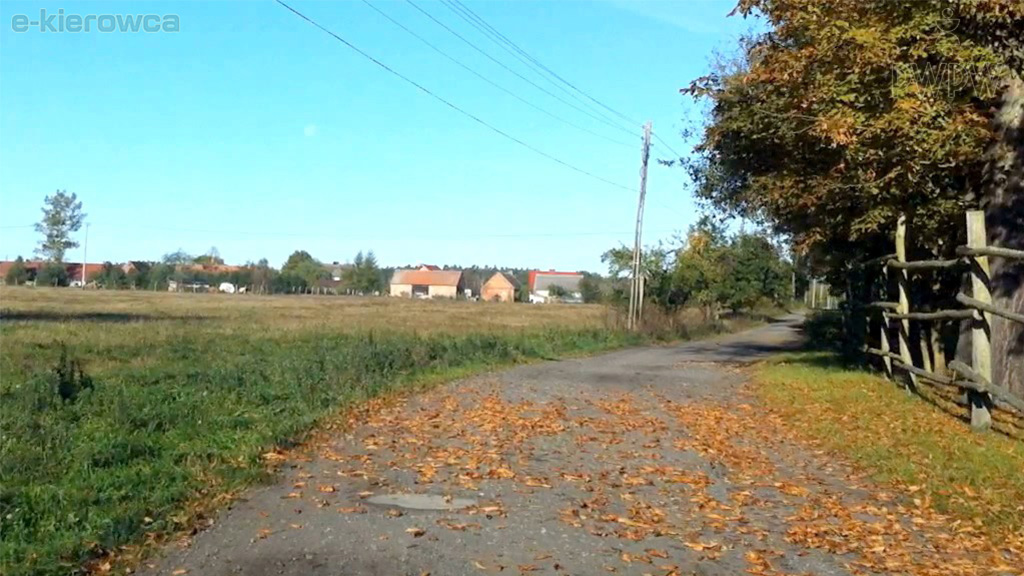 Pytanie Q-1491: Czy leżące na jezdni liście mogą mieć wpływ na długość drogi zatrzymania pojazdu?