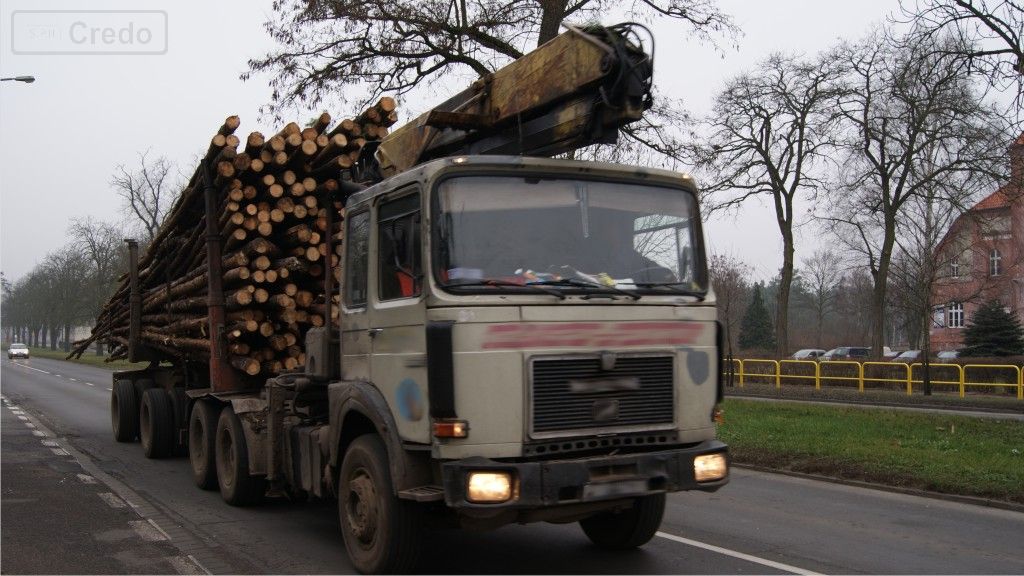 Pytanie Q-1802: Czy wolno Ci przewozić dziecko powyżej 150 cm wzrostu na przednim siedzeniu w kabinie samochodu ciężarowego?